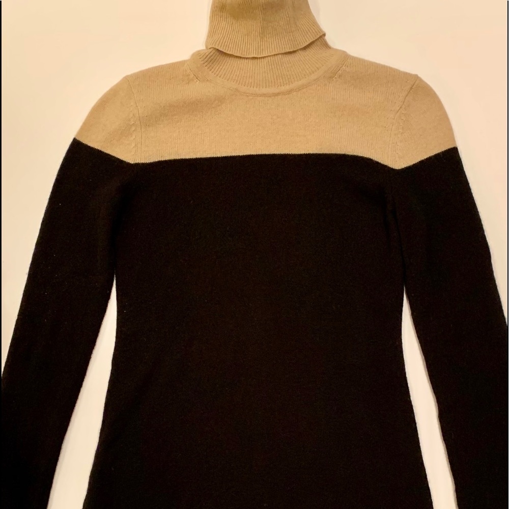Black and Tan cashmere turtle neck dress